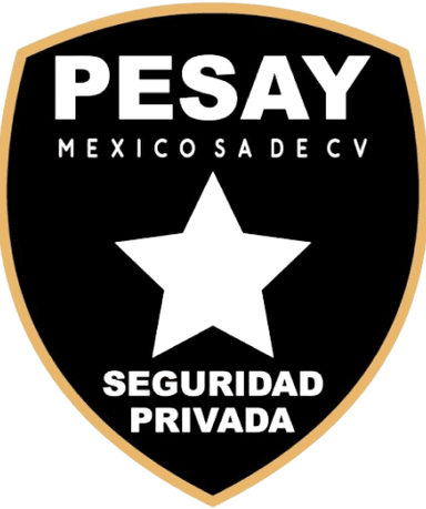 Pesay México